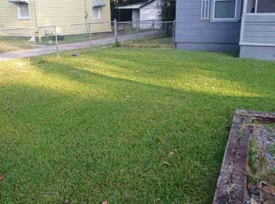 Catherine F.'s Lawn Care service result