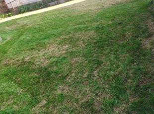 Michelle T.'s Cleanups service result