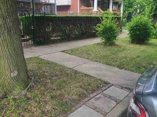 Bush Trimming by Jurell Smith for Dianne J. in Chicago, IL
