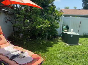 Bush Trimming by Liliana Ochoa-Pascual for Lisette B. in Seminole, FL