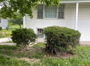 Bush Trimming by Cameron Cox for Johnetta W. in Omaha, NE