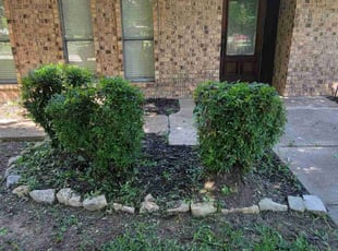 Bush Trimming by Deanna Guillen for Donald P. in Forney, TX