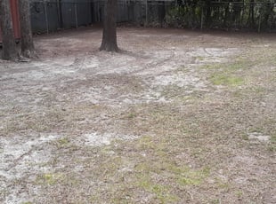 Leaf Removal by John Moore for Melissa D. in West Columbia, SC