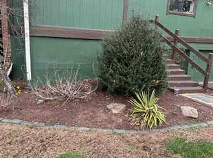 Weeding by Carlos Portillo for Michaela S. in Fort Washington, MD