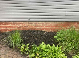 Weeding by Ricky Bennett for Marquita F. in Euclid, OH