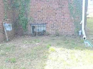 Cleanups by Chris Stewart for Paula M. in Washington, DC