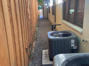 Leaf Removal by Olivia Martinez for Lara K. in Dallas, TX