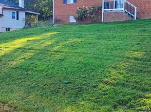 Deana G.'s Lawn Mowing service result