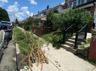 Bush Trimming by Moreno Santiago for Kyle C. in Philadelphia, PA