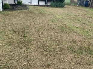 Cleanups by Aaron Palmer for Zandra E. in Tulsa, OK