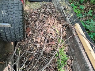 Leaf Removal by Thomas Glutz for Sydney T. in Cincinnati, OH