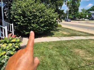 Bush Trimming by Ronnie Stovall for Rosemary O. in Plainfield, IL