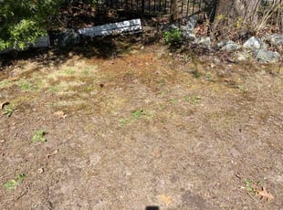 Leaf Removal by Andrew Ventre for Philippa Q. in Newton, MA