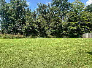 Sara G.'s Lawn Service service result