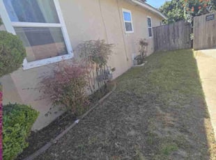 Bush Trimming by Roberto Medina for Austin M. in Chula Vista, CA