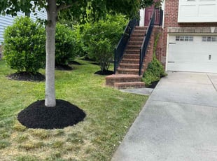 Cleanups by Thomas Fador for Leo Y. in Laurel, MD