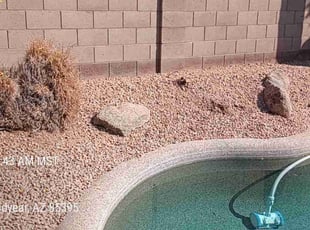Leaf Removal by Carl Smith for Angie W. in Goodyear, AZ