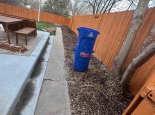Leaf Removal by Justin Hands for Susan B. in Denver, CO