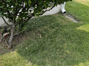 Weeding by Artavius Clark for Kenneth T. in Fort Washington, MD