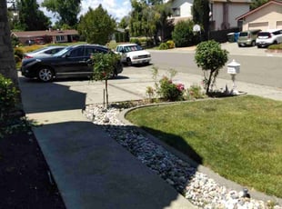 Bush Trimming by Scott Reeves for Anthony K. in Dixon, CA