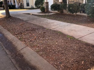 Cleanups by James Mullins for Gwen H. in Huntersville, NC