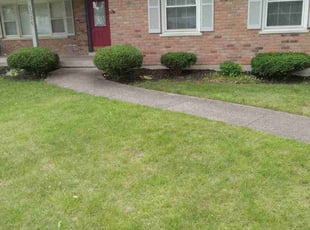 Bush Trimming by Curtis Robinson for Bernita R. in Cincinnati, OH