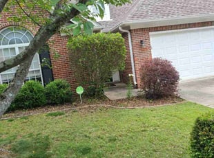 Bush Trimming by Jabree Smith for Katherine D. in Vestavia Hills, AL