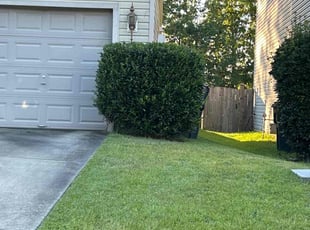 Bush Trimming by Doug Calhoun for Laura R. in Lexington, SC