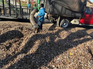 Leaf Removal by Luis Contreras for Mandy P. in Indianapolis, IN
