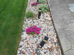 Weeding by Trent Young for Jill S. in Northglenn, CO