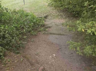Leaf Removal by Adam Durgin for Michael O. in North Charleston, SC