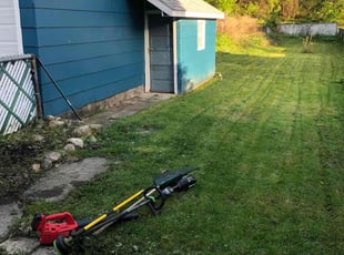 Weeding by Lucas Muller for Darcel F. in Schenectady, NY