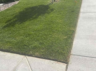 Heather R.'s Lawn Care service result