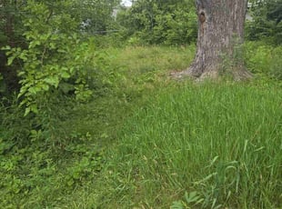 Cleanups by Jermaine Ramsey for Victoria S. in Iowa City, IA