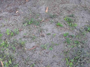 Cleanups by Frank Furia for Bill H. in West Palm Beach, FL