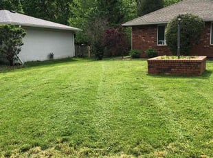 John E.'s Lawn Mowing service result