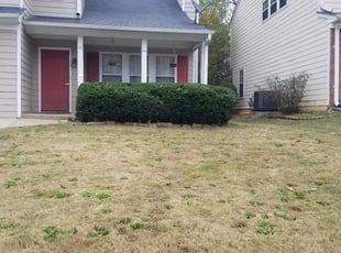 Bush Trimming by Steve Burgess for Tiffinnie W. in Duluth, GA