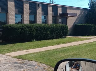 Bush Trimming by Rahsuol Ali for Cliff W. in Milwaukee, WI