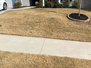 Leaf Removal by Anzeo Smith for Albert B. in Greenville, SC