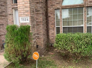 Bush Trimming by Clinton Bennett for Dawn D. in Fort Worth, TX