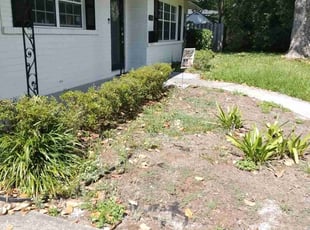 Bush Trimming by Aderias Rollins for Rachel C. in Jacksonville, FL