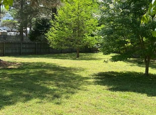 Corey W.'s Grass Cutting service result
