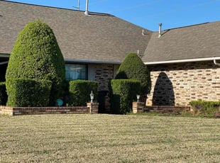Bush Trimming by Jessie Revilla Sanchez for Robin C. in Edmond, OK