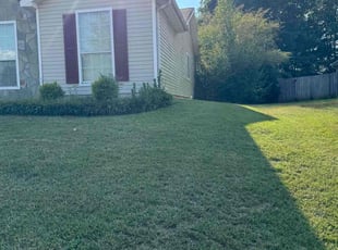 Cj R.'s Lawn Care service result