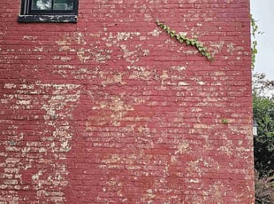 Cleanups by Artavius Clark for Sandra F. in Washington, DC