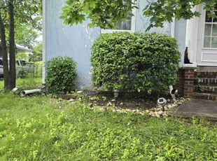 Bush Trimming by Randy Miller for Anne Marie C. in Bensalem, PA