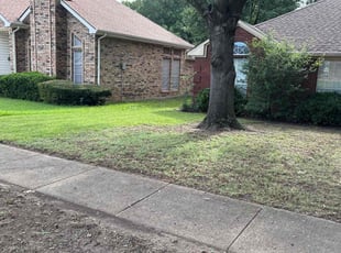 Leaf Removal by Marcus Carranza for Dwight S. in Cedar Hill, TX