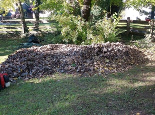 Cleanups by Brant Fahlsing for Thomas S. in Fort Wayne, IN