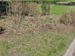 Cleanups by Dwyne Smith for Jon K. in Bloomington, MN