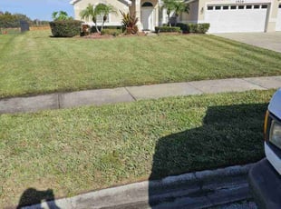 Bush Trimming by Jorge Cruz for Adrian B. in Kissimmee, FL